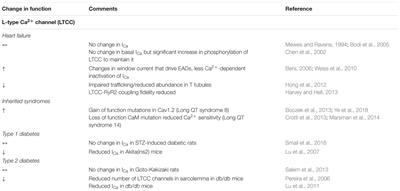 Proarrhythmic Remodeling of Calcium Homeostasis in Cardiac Disease; Implications for Diabetes and Obesity